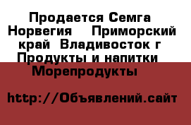 Продается Семга (Норвегия) - Приморский край, Владивосток г. Продукты и напитки » Морепродукты   